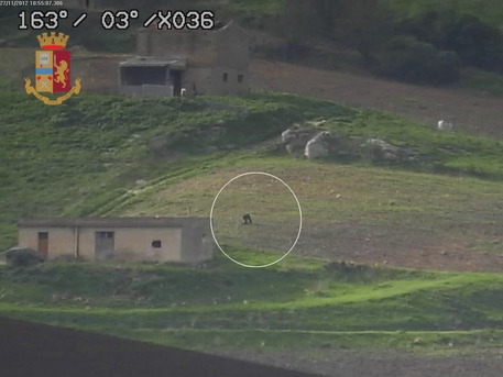 Nel Trapanese, blitz della Polizia contro fiancheggiatori di Messina Denaro