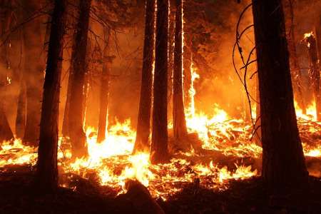 Priolo Gargallo, fiamme in alberi vicini ad abitazione: evacuato condominio