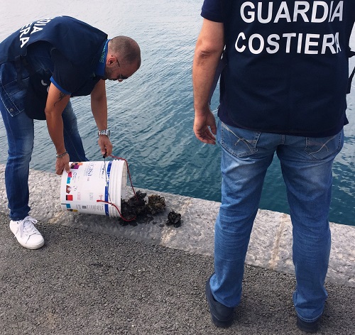 Siracusa, pesca illecita di cozze al Porto