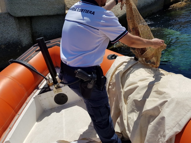 Augusta, pesca di frodo: sequestrati 500 ricci