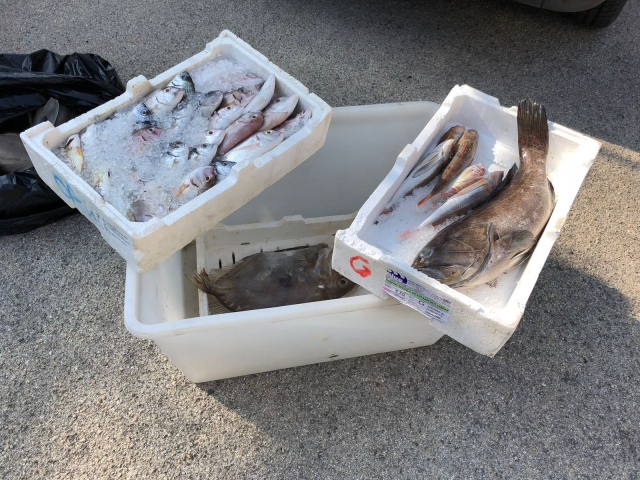 Augusta, sequestrati 30 chili di prodotti ittici: multe per 4.500 euro