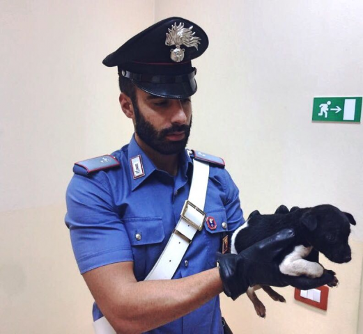 Siracusa, trovati nella spazzatura 5 cuccioli