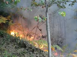 Canicattini Bagni, prevenzione incendi: l'ordinanza del sindaco