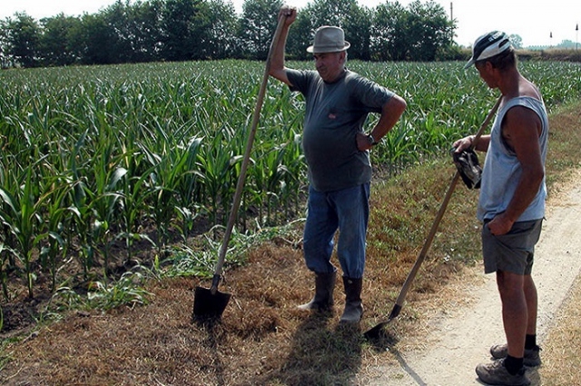 Siracusa, lavoratori agricoli: dal 18 giugno la liquidazione della disoccupazione