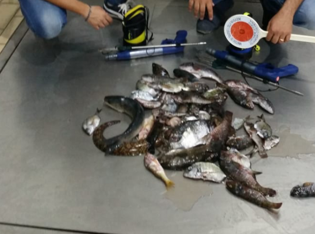Siracusa, pesca nel Porto Grande: sorpresi in 2