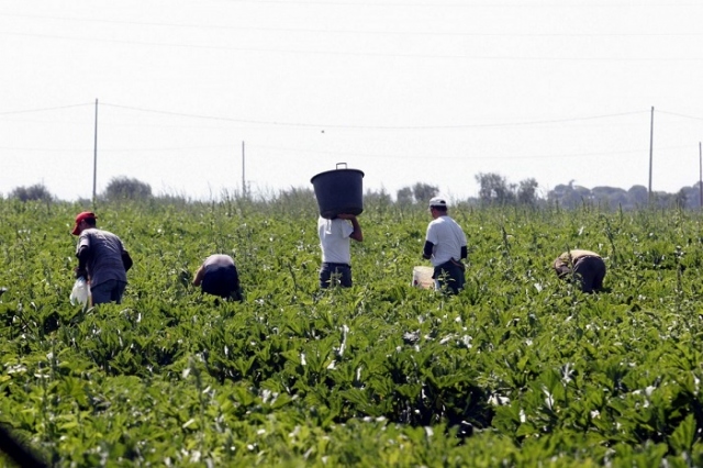 Campagna contro lo sfruttamento del lavoro in agricoltura a Siracusa, Rosolini e Pachino