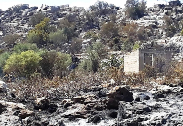 Fiamme al Castello Eurialo e Mura Dionigiane, Progetto Siracusa lancia l'allarme