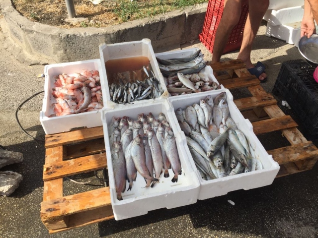 Augusta, nel mirino il mercato ittico: sanzioni per oltre 5mila euro