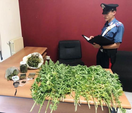 Noto, una coppia nasconde in casa hashish e piante di marijuana