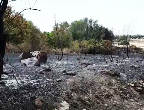 Floridia, fuoco in un terreno: bruciati vivi cani e cuccioli