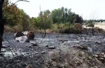 Siracusa, cani arsi vivi: fiaccolata per il "silenzio degli innocenti"