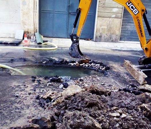 Siracusa, manutenzione verde pubblico: Siam cerca collaboratori