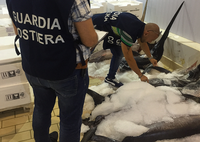 Siracusa, controlli su pesce spada e tonno rosso: sanzioni per 11.000 euro