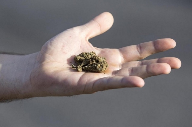 Noto, 25enne trovato in possesso di marijuana e 125 euro