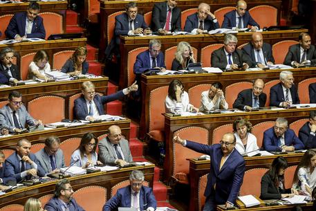 Al Senato passa il Decreto Mille Proroghe con 148 sì