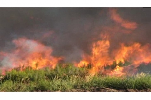 Siracusa, aggiornato il Catasto incendi: a breve la pubblicazione