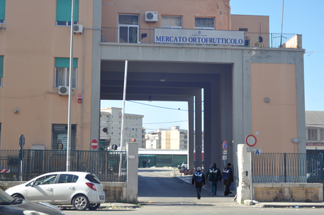 Palermo, mercato ortofrutticolo: confisca da 150 milioni