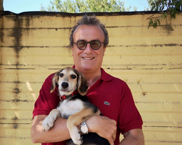 Siracusa, canili: proroga tecnica fino al 30 settembre poi nuova gara