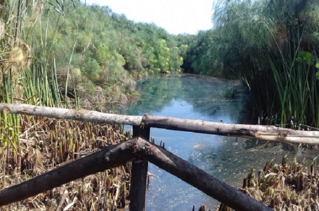 Siracusa, interventi di riqualificazione alla Riserva Fiume Ciane e Saline