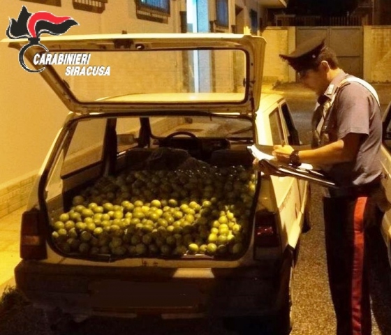 Siracusa, in auto con 100 chili di agrumi rubati: arrestati in due
