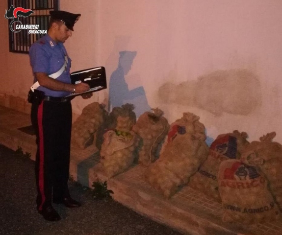 Siracusa, sorpresi con 200 chili di limoni rubati: arrestati
