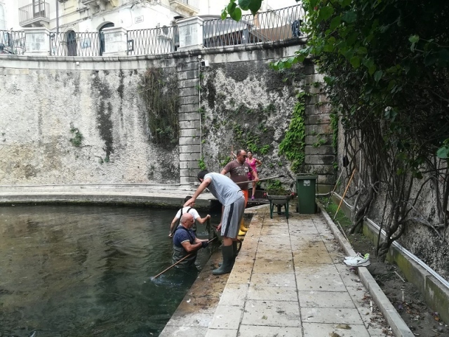 Siracusa, volontari del Ross al lavoro per ripulire la Fonte Aretusa invasa dalle alghe