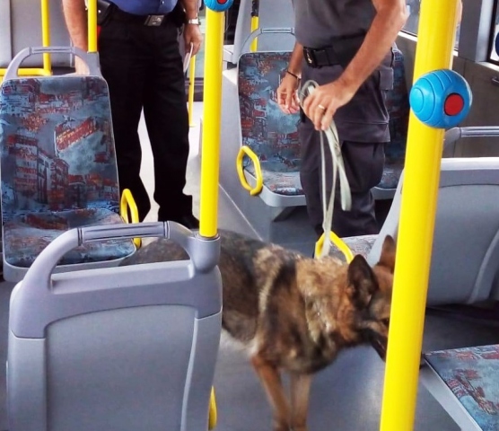 Siracusa, hashish e marijuana sul bus che trasporta gli studenti a scuola: indagini in corso