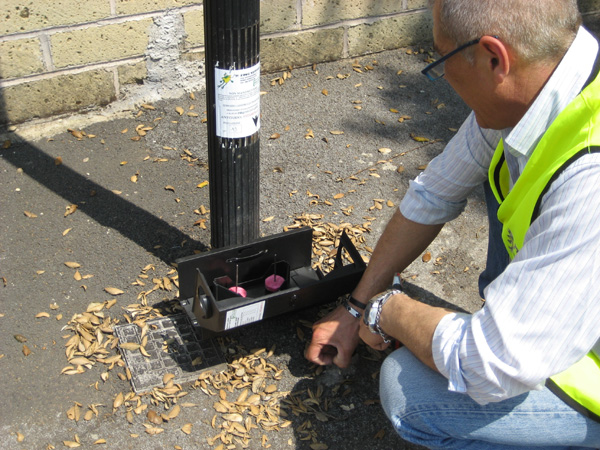 Siracusa, disinfestazione e derattizzazione in tutta la città: le date per ogni quartiere