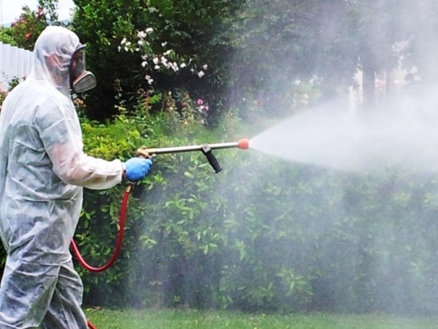 Canicattini Bagni, tra lunedì e martedì disinfestazione in centro