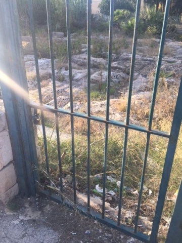 Siracusa, l'ex consigliere comunale Alfredo Foti: "Nel degrado il sito archeologico di via Sebastiano Agati"