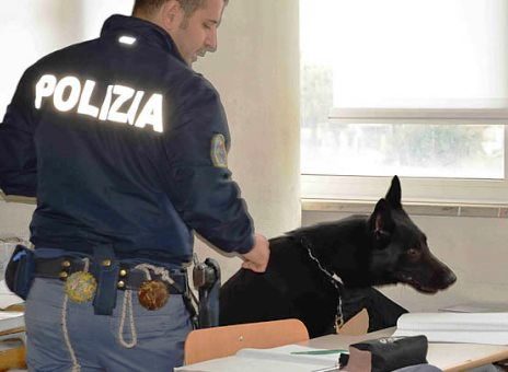 Siracusa, in possesso di hashish vicino scuola: segnalato 20enne