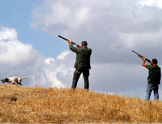 Tesserini venatori, c'è tempo fino a febbraio: a Siracusa oltre 500 cacciatori