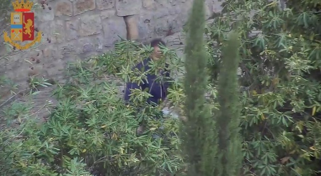 7c3bbf265e5020da1959fd68dfa2331a