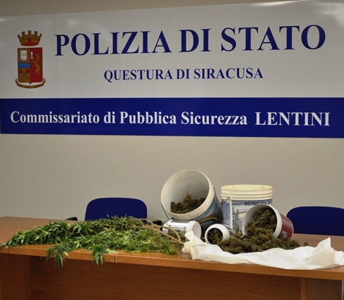 Lentini, piante e foglie essiccate di marijuana: arrestato 44enne