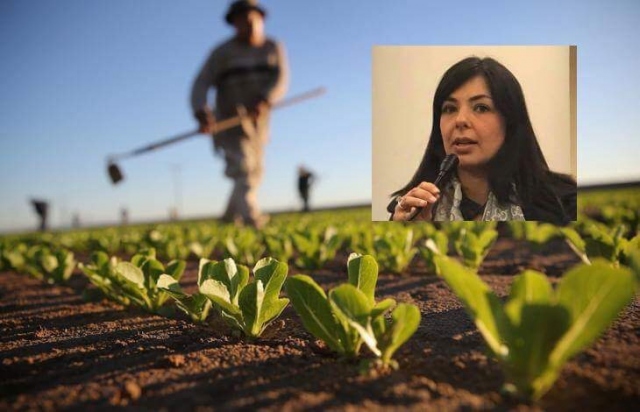 Palermo, vendita diretta dei prodotti agricoli: adesso è legge