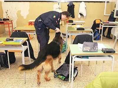 Augusta, consumano canne nei pressi del Ronco Maria e Gesù: segnalati