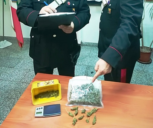 Floridia, sequestro marijuana: sul mercato dello spaccio avrebbe fruttato 500 euro