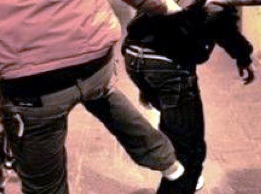 il comportamento dell'aggressore sarebbe dovuto al fatto che il cane delle vittime avrebbe spaventato i suoi gatti. Gli