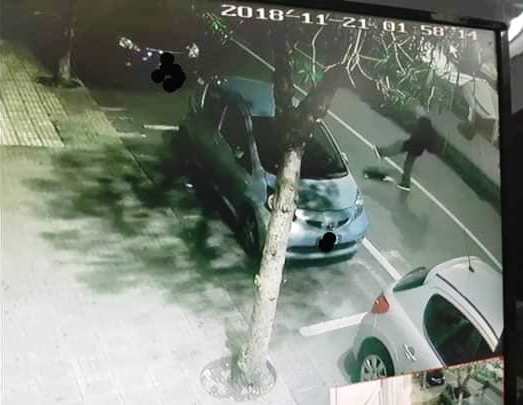 Siracusa, gatto preso a calci: l'indignazione corre sul web
