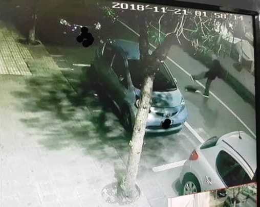 Siracusa, denunciato l'uomo che ha preso a calci un gatto: rischia da 4 mesi a 2 anni