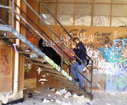 Siracusa, Polizia e unità cinofile a scuola: rinvenute dosi di droga