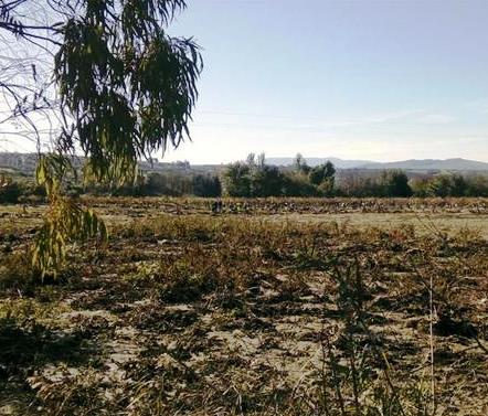 a28a95be1f312a33531cd6eb54378331