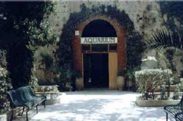 Siracusa, si cerca ancora un nuovo gestore per l'Acquario comunale