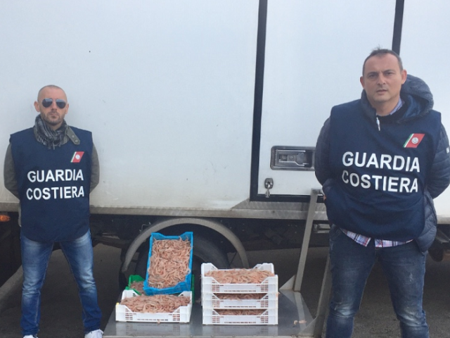 Siracusa, trasporta prodotto ittico senza tracciabiità e in un mezzo non autorizzato: sanzioni per 4.500 euro