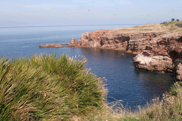 d2f906f40b1b90a3bdf83b6b02a882d9