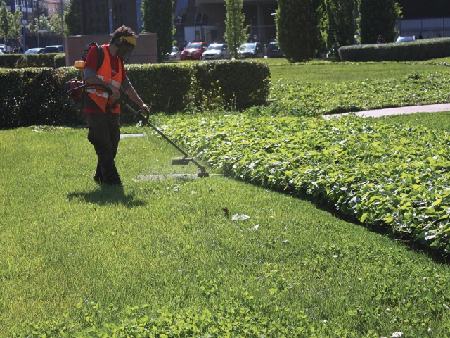 Città green, Siracusa tra le ultime dieci posizioni nella classifica di Legambiente