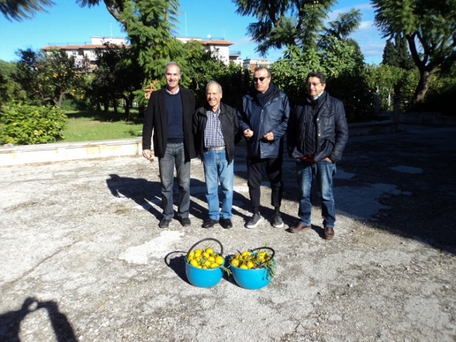 Siracusa, consegna degli agrumi di Villa Reimann all'associazione San Martino