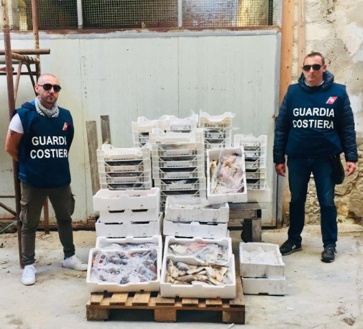 Siracusa, tracciabilità ed etichettature dei prodotti ittici: sequestrati 200 chili di pesce, elevate sanzioni
