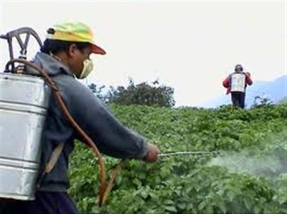 Pachino, patentini fitosanitari: a febbraio il primo corso di formazione del 2019