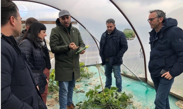 Rosolini e Pachino, il 50% delle zucchine attaccate dal virus "New Delhi"